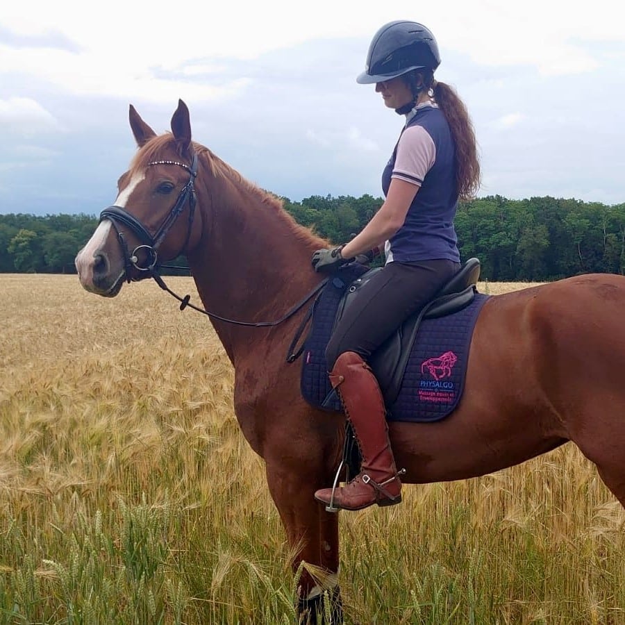 cavalière sur son cheval alezan à l'arrêt dans les champs