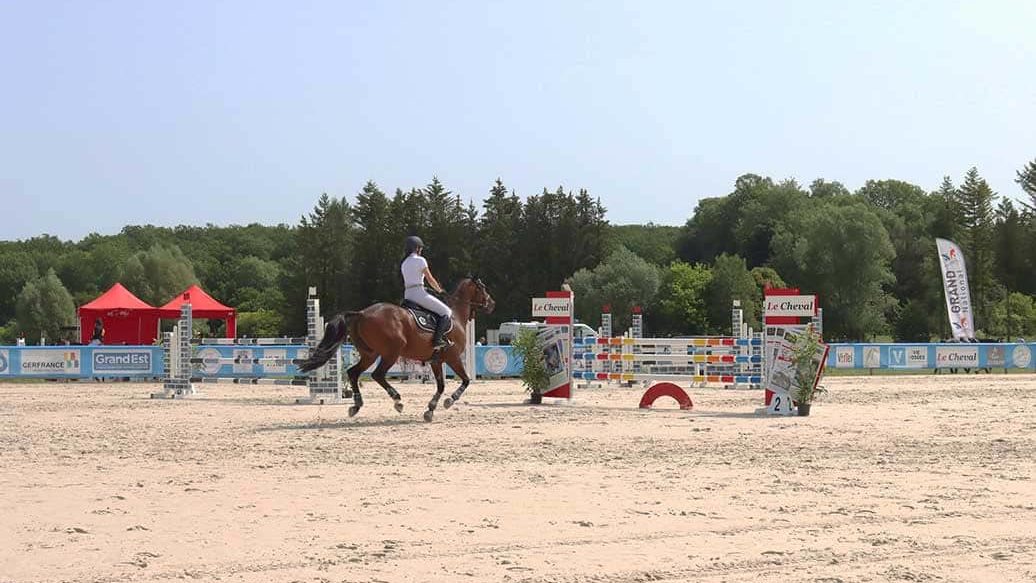 Auf einem Turnierplatz nähert sich eine Reiterin mit ihrem Pferd einem Hindernis.