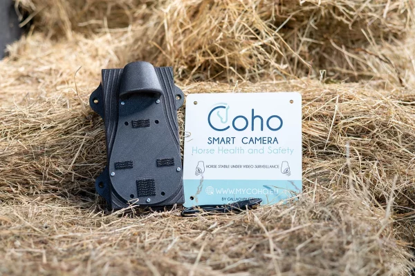 Coho 4G paarden camera stal camera AI paarden horses cheval pferde trailer kit trailer anhanger van